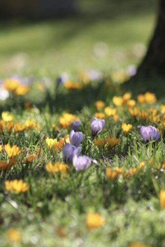 %e3%82%b9%e3%82%af%e3%83%aa%e3%83%bc%e3%83%b3%e3%82%b7%e3%83%a7%e3%83%83%e3%83%88-2026-04-03-7-06-26